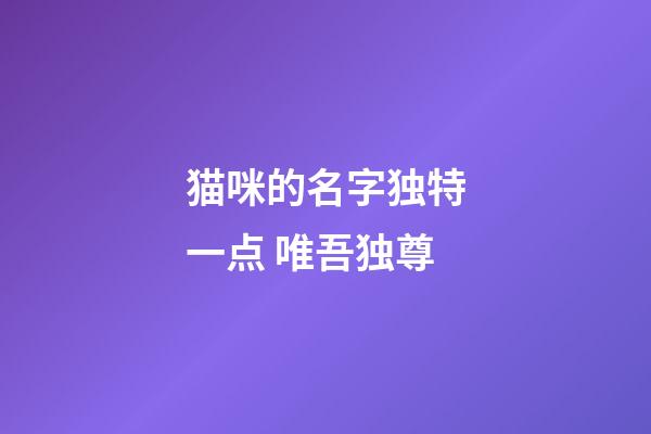 猫咪的名字独特一点 唯吾独尊